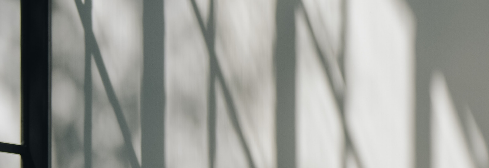 メディア・展示会